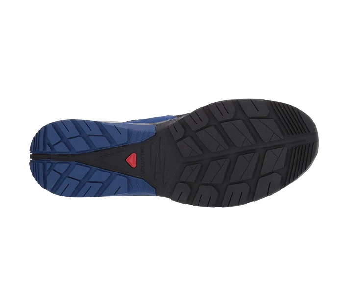 Фото - чоловічий кросівок Кросівки Salomon Techamphibian 4 Navy Blazer/Mazarine Blue Wil/Quarry 46.6