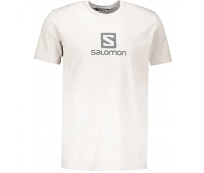 Фото - чоловічу футболку Футболка ALOMON COTON LOGO SS TEE M LC1152300 ALLOY M