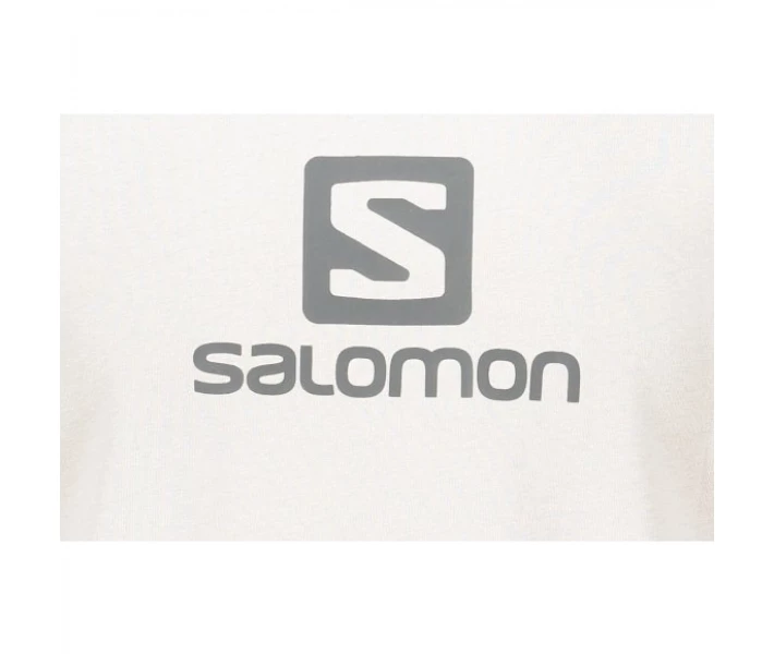 Фото - чоловічу футболку Футболка ALOMON COTON LOGO SS TEE M LC1152300 ALLOY M