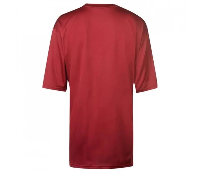 Фото - чоловічу футболку Футболка Champion Side Panel Red 2XL Tall
