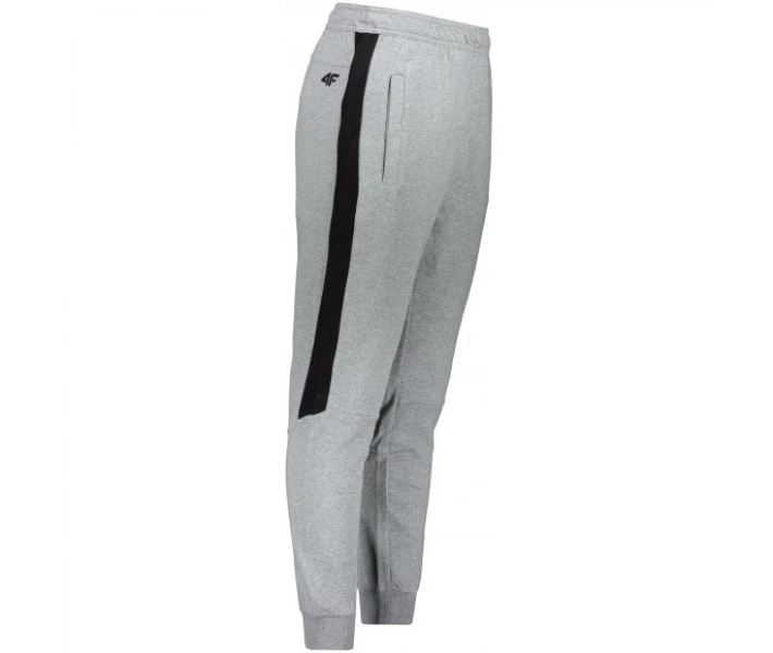 Фото - чоловічі спортивні штани Штани спортивні 4F Z19-SPMD209 COLD LIGHT GREY MELANGE XL