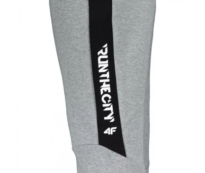 Фото - чоловічі спортивні штани Штани спортивні 4F Z19-SPMD209 COLD LIGHT GREY MELANGE XL