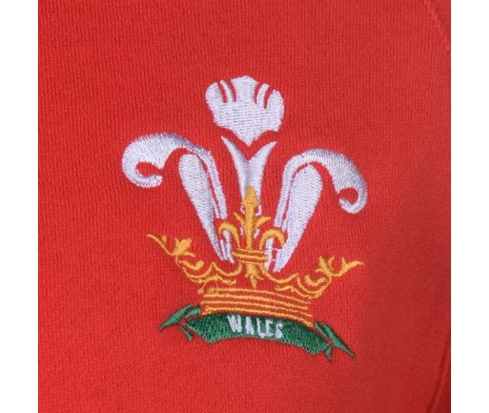 Фото - чоловіче худі Худі Rugby World Cup World Cup 2019 Zip Wales S