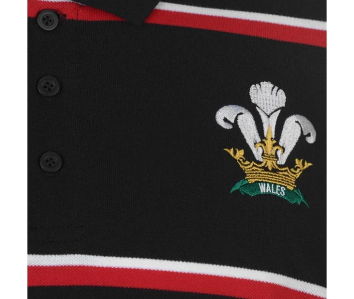Фото - чоловіче поло Поло Rugby World Cup 2019 Stripe Wales XL
