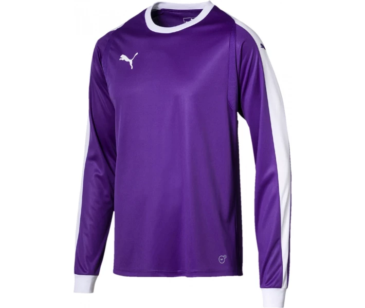 Фото - чоловічий лонгслів Лонгслів Puma LIGA GK JERSEY M