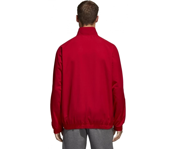 Фото - куртку мужскую Куртка adidas CORE18 PRE JKT M