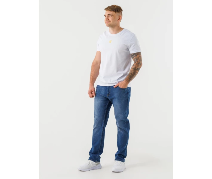 Фото - чоловічі джинси Джинси Regular fit чоловічі Blackwan BW-257 31 Синій (214)