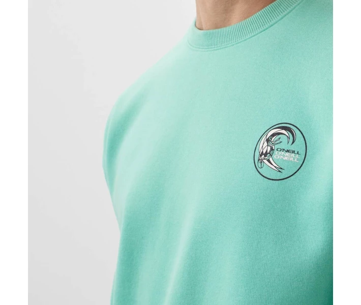 Фото - чоловічу толстовку Толстовка O'Neill LM CIRCLE SURFER SWEATSHIRT L