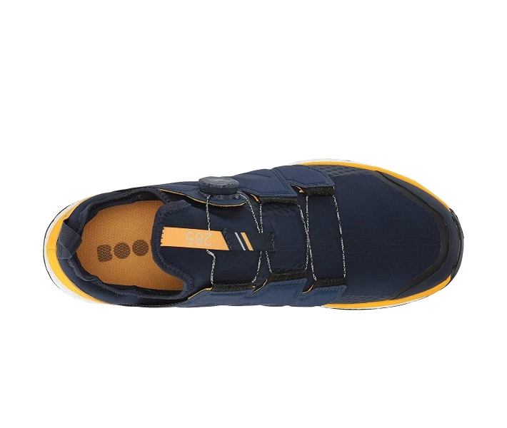 Фото - чоловічий кросівок Кросівки Adidas Terrex Agravic BOA Collegiate Navy/Collegiate Navy/Active Gold 45.3