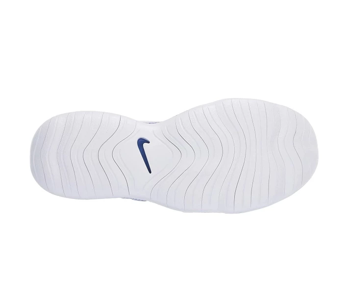 Фото - чоловічий кросівок Кросівки Nike Flex 2019 RN Racer Blue/Racer Blue/White 40