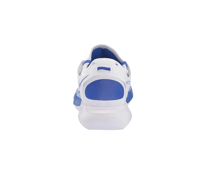 Фото - чоловічий кросівок Кросівки Nike Flex 2019 RN Racer Blue/Racer Blue/White 40
