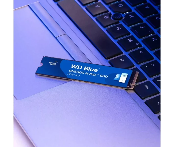 SSD диск WD Blue SN5000 1TB M.2 (WDS100T4B0E) купити в ⁕ ALLO.UA