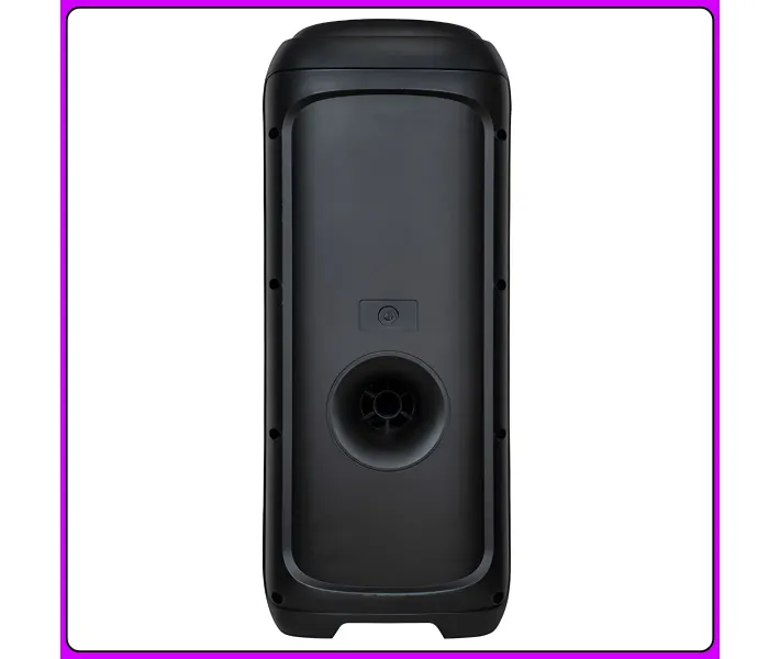 Колонка караоке ZXX-5570 30Вт 2×6