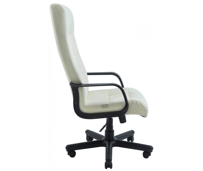 Фото - офісне крісло Офісне Крісло Керівника Richman Вірджинія Boom 01 Пластик М2 AnyFix Біле