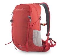 Придбати - рюкзак  Рюкзак Pinguin Ride 25 2020 (Red) (PNG 308136)