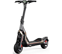 Придбати - електросамокат  Електросамокат Segway-Ninebot GT2 Black (AA.00.0012.65)