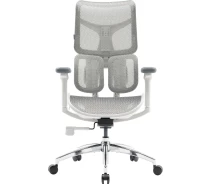 Придбати -  Крісло офісне Sihoo DORO S100 Mesh White (S100-M302)