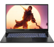 Придбати - ноутбук  Ноутбук Dream Machines RG4050-17 (RG4050-17UA26)