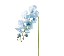 Придбати - штучну квітку і рослину  Квітка Фаленопсис Flora Блакитний 72793 (AN000001)