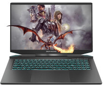 Придбати - ноутбук  Ноутбук Dream Machines RG4050-17 (RG4050-17UA22)