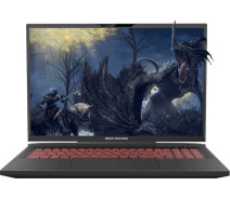 Придбати - ноутбук  Ноутбук Dream Machines RX4090-17 (RX4090-17UA28)