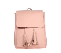 Придбати - рюкзак  Жіночий рюкзак Sambag 34х14х24 см пудровим