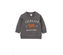 Придбати - дитячий світшот  Світшот H&M 98см темно сірий 3049068342