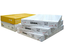 Придбати - фотопапір  Папір Xerox COLOTECH + (100) SRA3 500л. AU (003R98845-e)