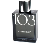 Придбати - унисекс парфюмерию  Тестер (Духи) для жінок scent bar 103 100 мл