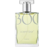 Придбати - унисекс парфюмерию  Тестер (Духи) для жінок scent bar 300 100 мл