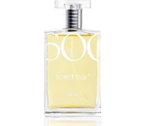 Придбати - унисекс парфюмерию  Тестер (Духи) для жінок scent bar 600 100 мл