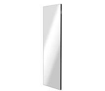 Придбати - зеркало  Дзеркало в металевій рамі StudioGlass ALUMINIUM SERIES BELFAST black 180 х70 см 