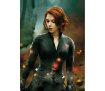 Придбати - подарок для геймеров  Картина GeekLand Black Widow Чорна Вдова фільм 40х60см BW.09.052