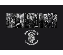 Придбати - подарок для геймеров  Картина GeekLand Sons of Anarchy Сини Анархії постер 60х40 SA 09.012