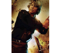 Придбати - подарок для геймеров  Картина GeekLand Star Wars Зоряні Люк 40х60см SW.09.033