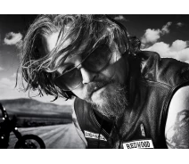 Придбати - подарок для геймеров  Картина GeekLand Sons of Anarchy Сини Анархії постер 60х40 SA 09.004
