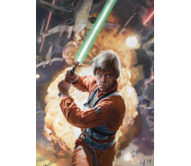 Придбати - подарок для геймеров  Картина GeekLand Star Wars Зоряні Люк Скайуокер 40х60см SW.09.032