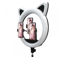Придбати - кільцеве світло  Лампа кільцева зі штативом Cat Ring Light , 49,5см 65 Ватт