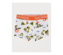 Придбати - дитячі труси  Трусики боксери Paw Patrol для хлопчика H&M Щенячий патруль 0938686-003 134-140 см (8-10 years) білий