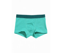 Придбати - дитячі труси  Трусики боксери для хлопчика H&M 0713774-028 134-140 см (8-10 years) зелений
