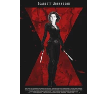 Придбати - подарок для геймеров  Картина GeekLand Black Widow Чорна Вдова логотип 40х60см BW.09.069