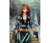 Придбати - подарок для геймеров  Картина GeekLand Black Widow Чорна Вдова фан арт 40х60см BW.09.019