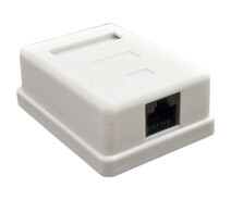 Придбати - розетку и выключатель  Розетка RJ-45 Kingda KD-WP6034 cat5 1xUTP біла
