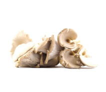 Придбати - продовольственный товар  Гриби Глива, кошик Українські печериці 350 г (4820167380038)