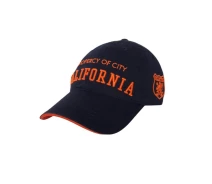 Придбати - дитячу бейсболку  Брендова дитяча бейсболка California (p45-0212-52-54)