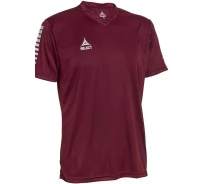 Придбати - чоловічу футболку  Футболка SELECT Pisa player shirt бордова 624130-011 (624130-011_L)