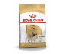 Придбати - корм для собаки  Сухий корм для собак Royal Canin PUG ADULT 0,5 кг (3182550752398) (3985005)