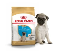 Придбати - корм для собаки  Сухий корм Royal Canin для цуценят мопсів до 10 місяців Breed PUG PUPPY 1,5 кг BGL-RC-383