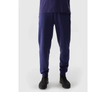Придбати - чоловічі спортивні штани  Спортивні штани TROUSERS CAS M603 4FWSS24TTROM603-31S 4F S Темно-синій