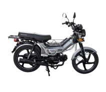 Придбати - мотоцикл  Мотоцикл Spark SP125C-1CF (заводська упаковка) (Бордо)
